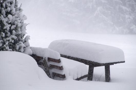 Nevicate in Appennino