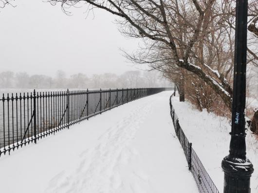 New York, Central Park (Foto di Renato Lalloni)