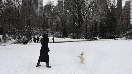 New York, neve a Central Park a inizio marzo 2019 (Immagine di cnn.com)