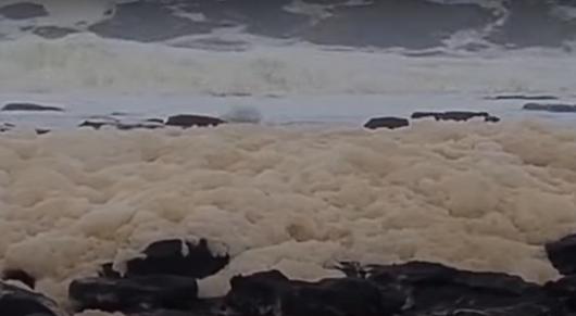 Nuovo Galles del Sud, spiagge ricoperte di schiuma