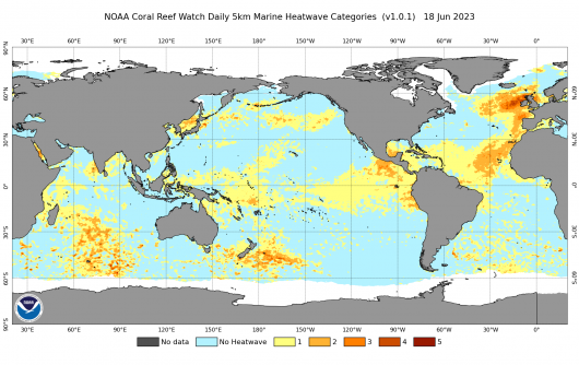 ondata di calore marino in Atlantico, fonte Noaa