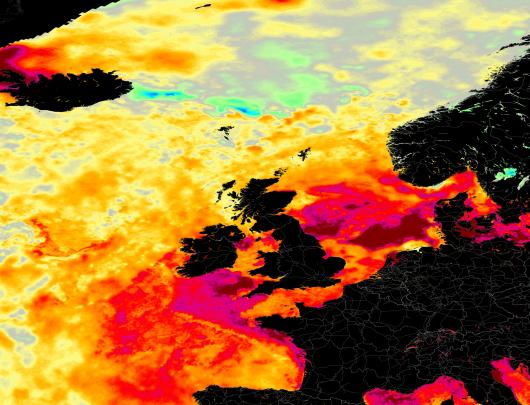 ondata di calore marino sul Nord Est Atlantico