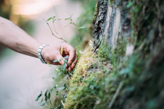 Orti come strumento terapeutico. Fonte immagine Lanaregion.it
