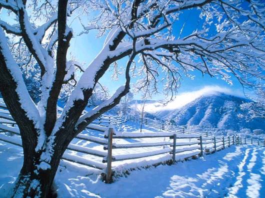 Paesaggio innevato