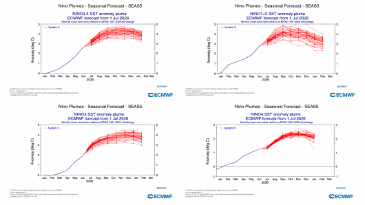 previsioni aree Enso secondo Ecmwf