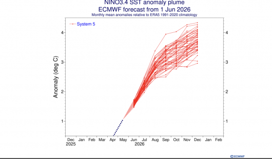 previsioni ensemble: anomalie temperature