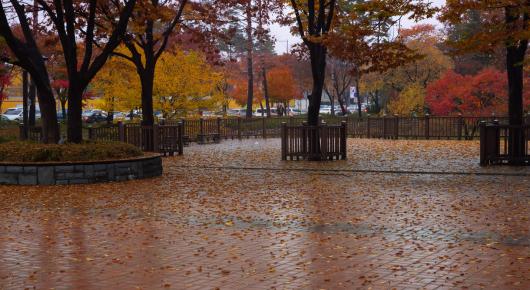 Prossima settimana con piogge e clima autunnale