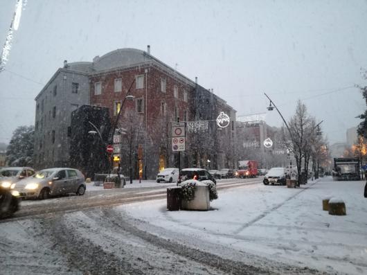 Rovigo
