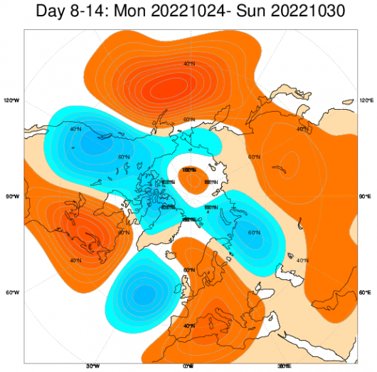 Scenario ECMWF 8 -14 ottobre