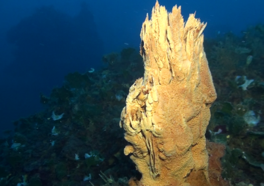 Scoperti oltre 200 camini vulcanici nei fondali marini davanti a Panarea