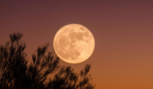 Stasera la Superluna dello Storione