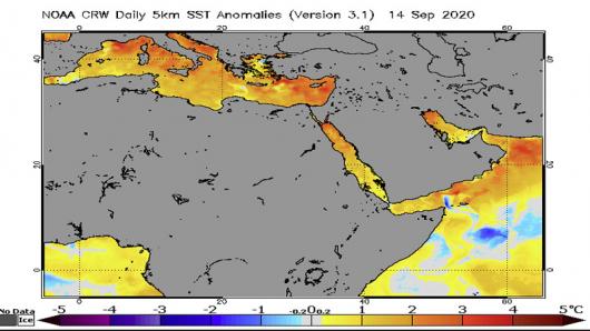 temperature, anomalie acque Mediterraneo