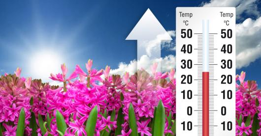 Temperature in aumento nei prossimi giorni