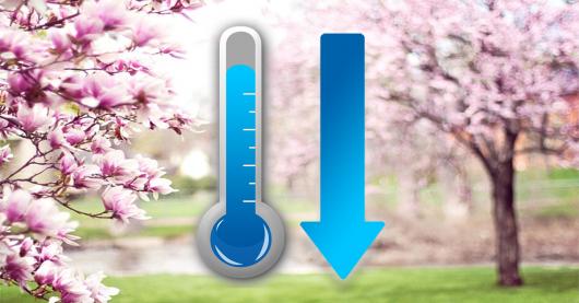 Temperature in decisa diminuzione nella prossima settimana