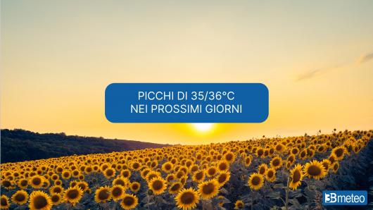 Caldo intenso all'inizio della prossima settimana