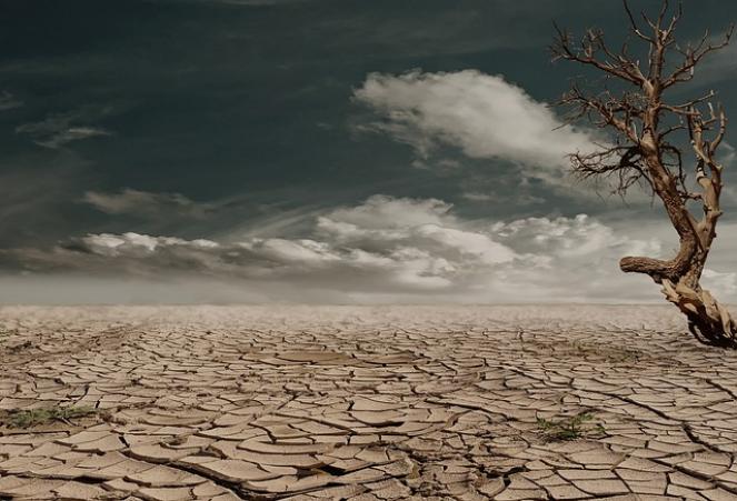 Giornata Mondiale Contro La Desertificazione E La Siccit Quali Le 