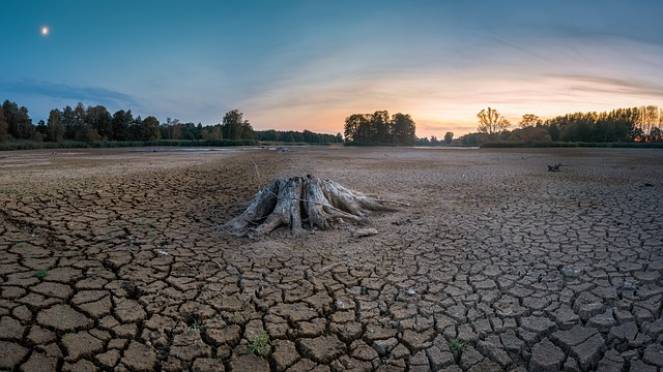 Giornata Mondiale Contro La Desertificazione E La Siccit Quali Le 