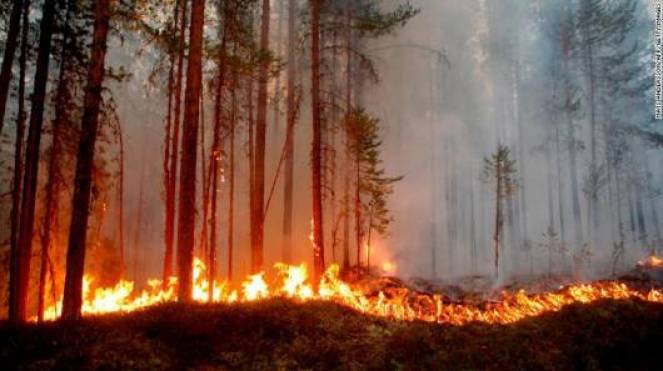 A fuoco anche le foreste della Svezia
