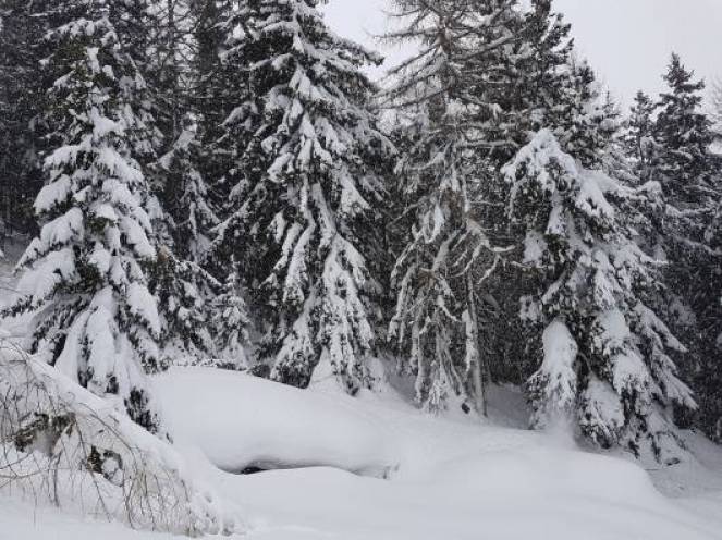Abbondanti nevicate in arrivo sulle Alpi