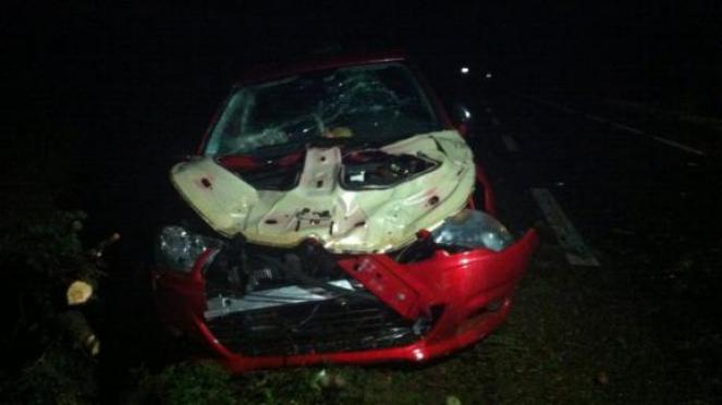 Albero travolge un auto, rimane vittima una 29enne. Fonte: francetvinfo.fr