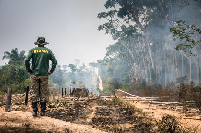 Amazzonia: un vero e proprio tesoro di biodiversità minacciato dall'uomo e dai cambiamenti climatici