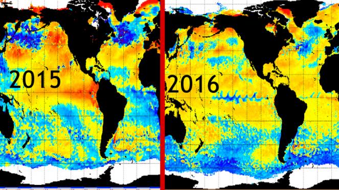 anomalie acque oceaniche temperature:2015 e 2016