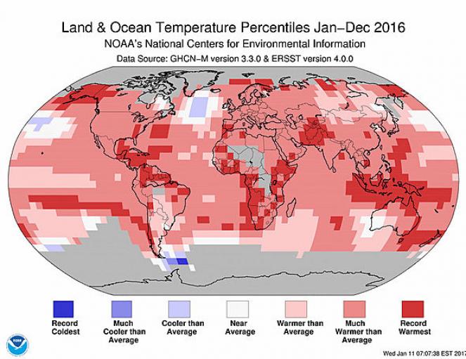 Anomalie di temperatura dell'anno 2016 (fonte NOAA)