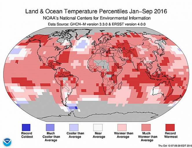 Anomalie di temperatura Gennaio-Settembre 2016 (fonte NOAA)