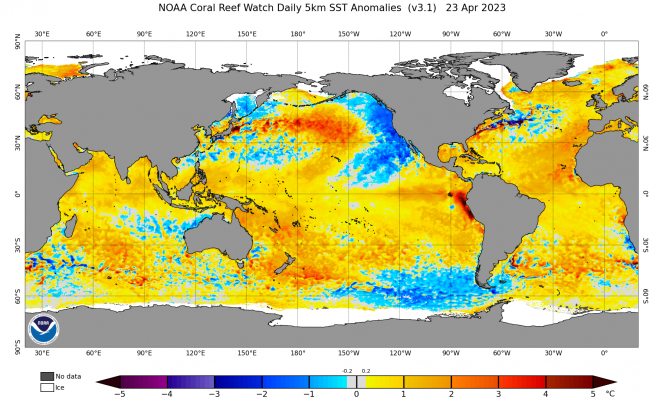 Anomalías en la temperatura del mar Fuente NOAA