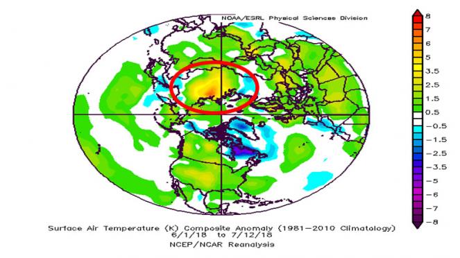 anomalie temperature nell'emisfero nord