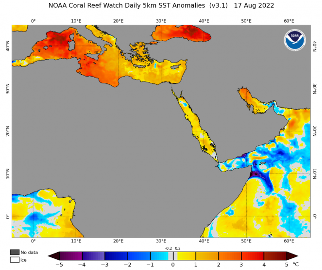 Anomalie termiche del mare, fonte Noaa