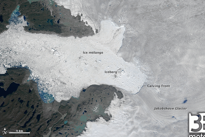Arretramento della lingua glaciale groenlandese dal 31 Luglio al 16 Agosto (fonte NASA)