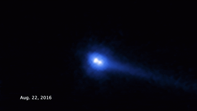 Asteroide 288P (fonte NASA)