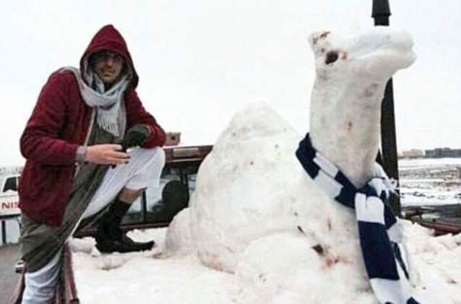 Cammello di neve....dalla pagina facebook Swanky Riyadians