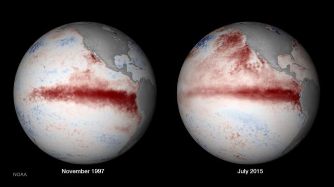 Comparazione anomalie oceaniche Novembre 1997, Luglio 2015 