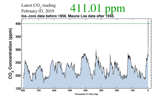 concentrazione della CO2 negli ultimi 800mila anni