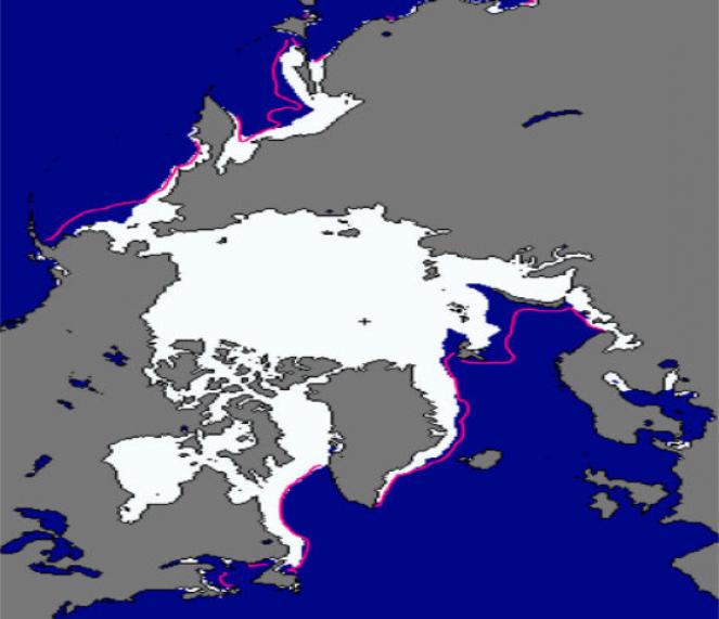 Condizioni attuali dell'estensione dei ghiacci. In magenta è indicata invece la linea media nel periodo 1981-2010