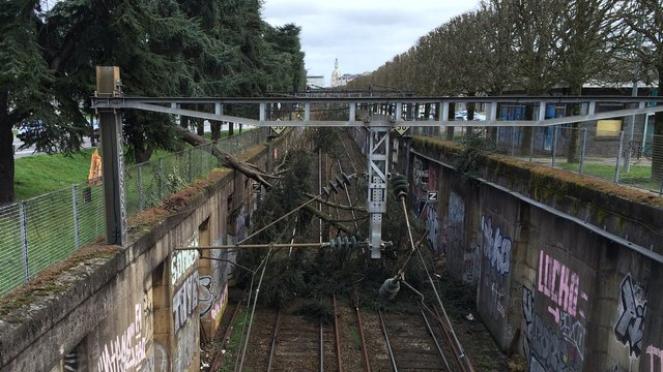 Danni causati dai forti venti a una linea ferroviaria in Francia