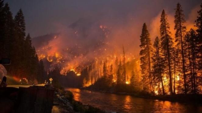Devastanti incendi in Siberia