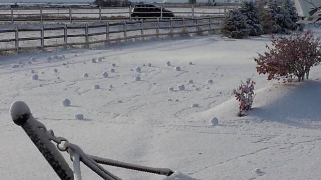 Dozzine di snow rollers nei campi innevati del Colorado