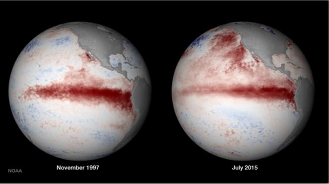 El Nino, differenze tra il 1998 e il 2015