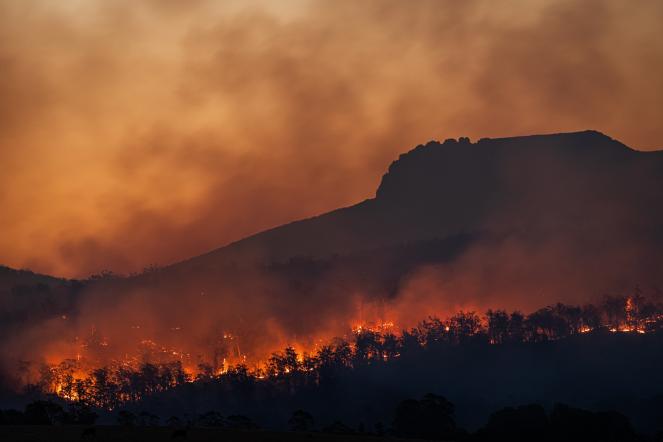 Emergenza incendi in Grecia, brucia l isola di Rodi, migliaia di evacuati