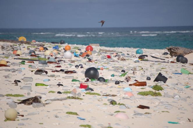 Emergenza plastica, per la nostra salute e quella dell'ambiente