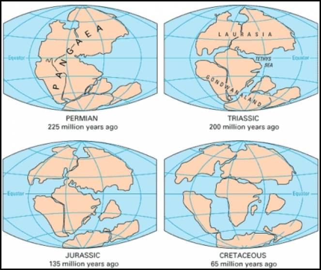 Evoluzione della crosta continentale