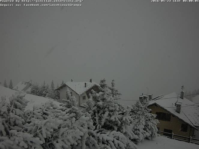 Fitta nevicata in corso a Gimillan - Cogne (AO)
