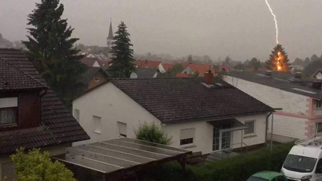 Fulmine centra un albero in Germania (foto Echo online)