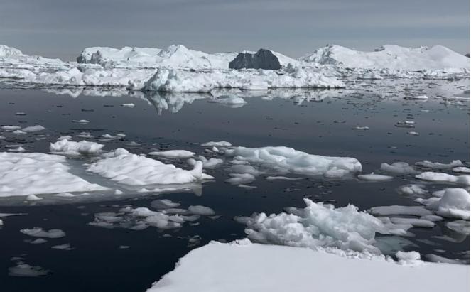 ghiaccio marino artico