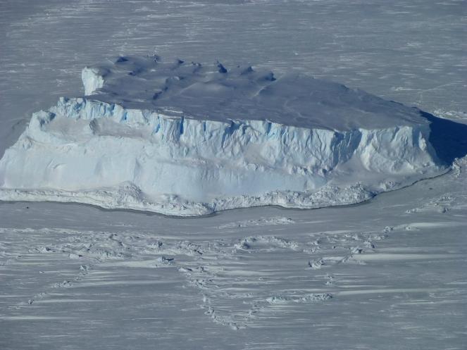 Gigantesco iceberg grosso come la liguria si è staccato dal continente antartico