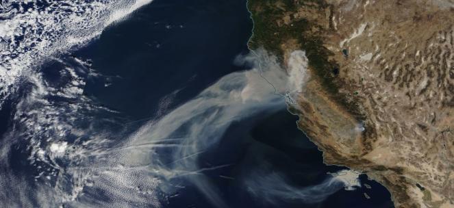 Gli incendi visti dal satellite stamattina (9 Novembre), il fumo si dirige per centinaia di chilometri sull'oceano