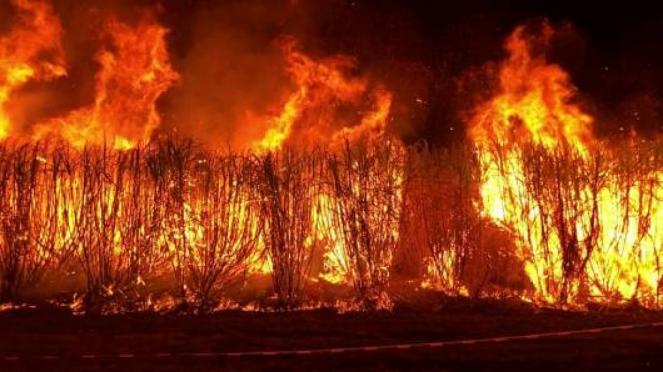 Grave incendio nella zona di Corinto in Grecia